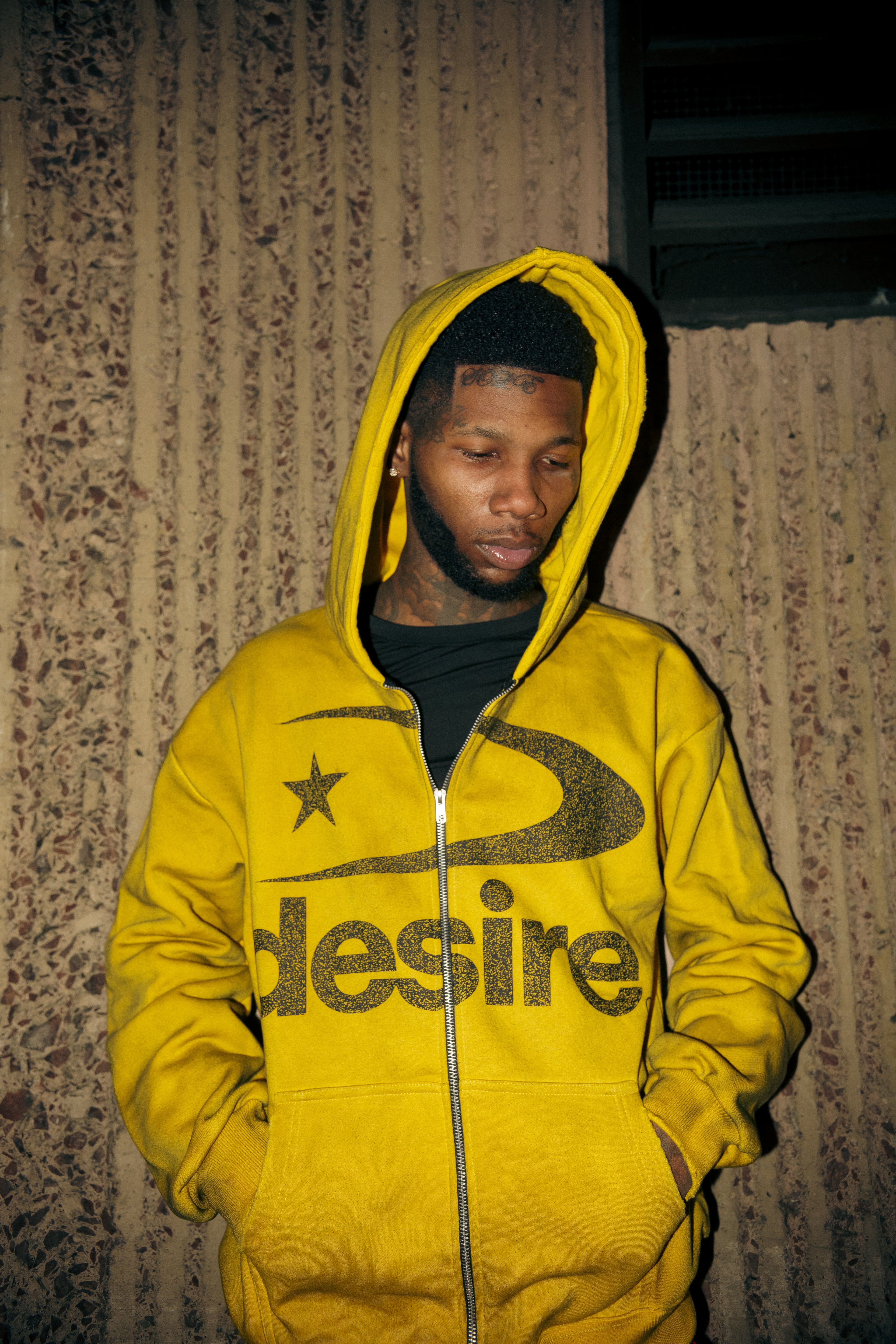 Desire Gold Dust Zip Up Hoodie